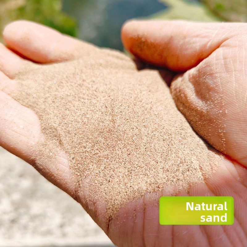 Reptile Sand Calcium Sand for  - Sphagnum Moss Dry 评论和价格