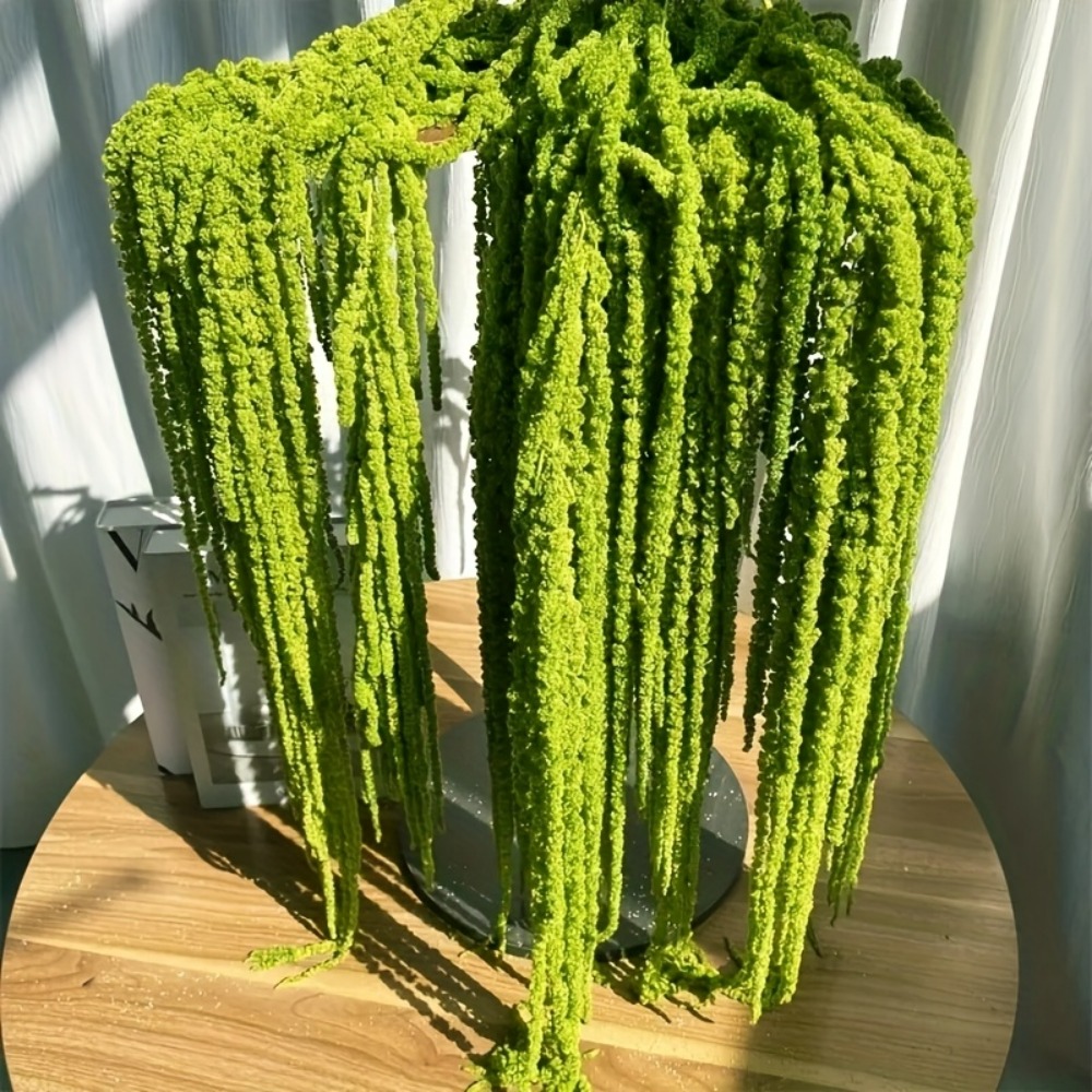 4 Piece Set Artificial Amarant - Sphagnum Moss Dry 评论和价格