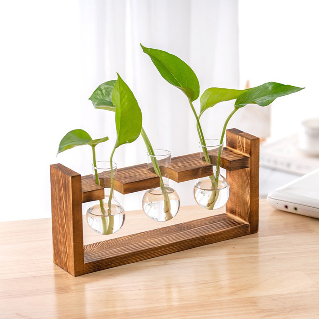 Vases Home Office Hydroponic P - Propagation Station Vase 评论和价格