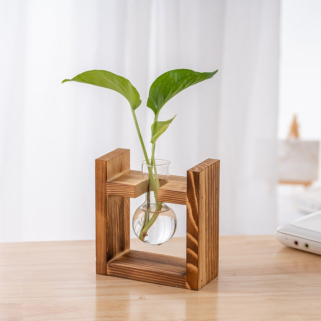 Vases Home Office Hydroponic P - Propagation Station Vase 评论和价格
