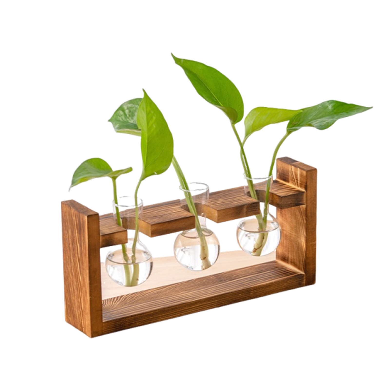 Vases Home Office Hydroponic P - Propagation Station Vase 评论和价格
