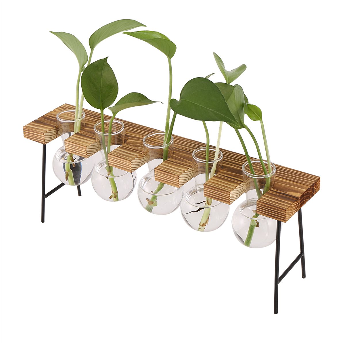 ABFS Propagation Stations Desk - Propagation Station Vase 评论和价格