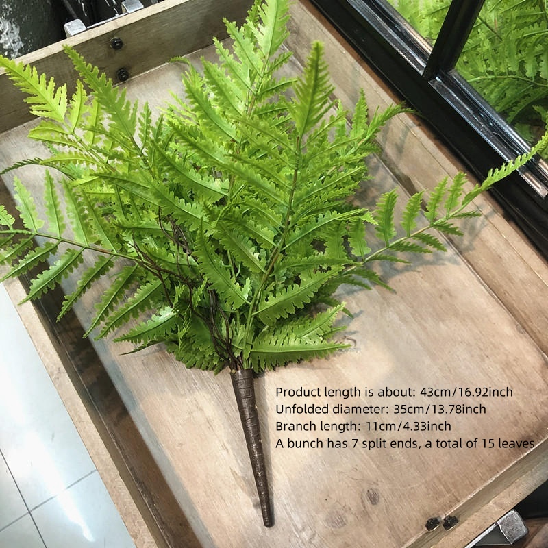 1pcs Artificial Plants Bedroom - Sphagnum Moss Dry 评论和价格