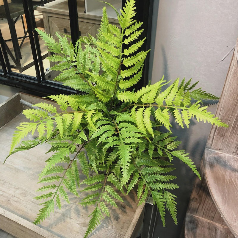 1pcs Artificial Plants Bedroom - Sphagnum Moss Dry 评论和价格