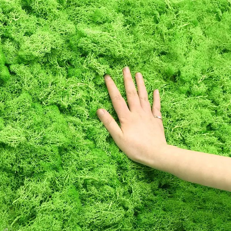 Artificial Green Plant Moss Gr - Sphagnum Moss Dry 评论和价格