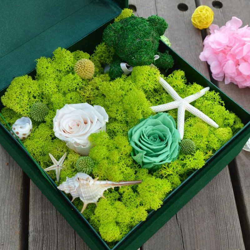Artificial Green Plant Moss Gr - Sphagnum Moss Dry 评论和价格