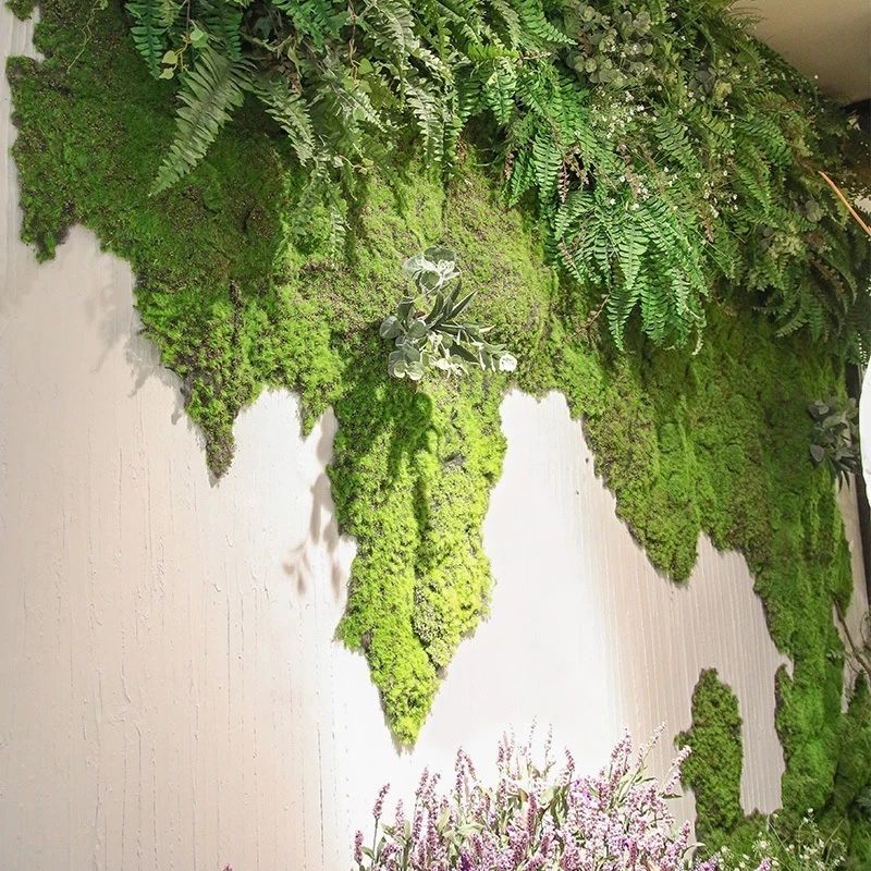 Artificial Green Plant Moss Gr - Sphagnum Moss Dry 评论和价格